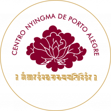 logo-centronyingmapoa